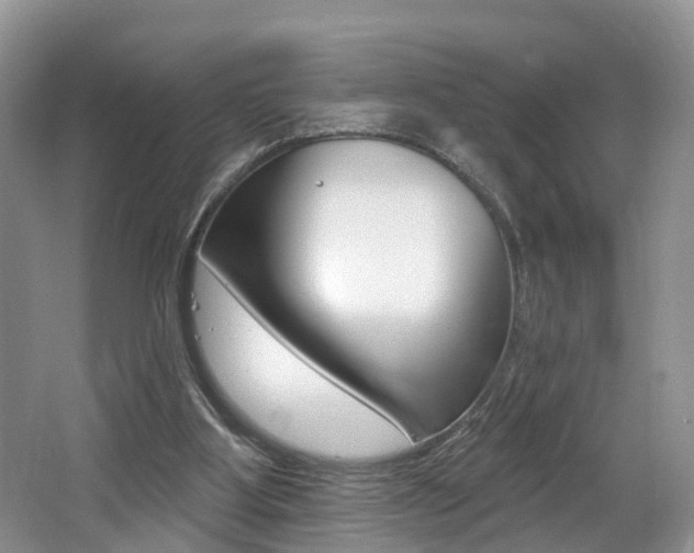 X0000062140107200512091027