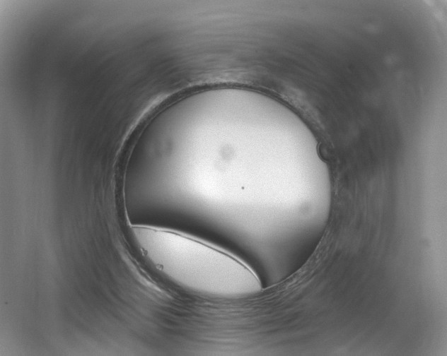 X0000062140108200512091027