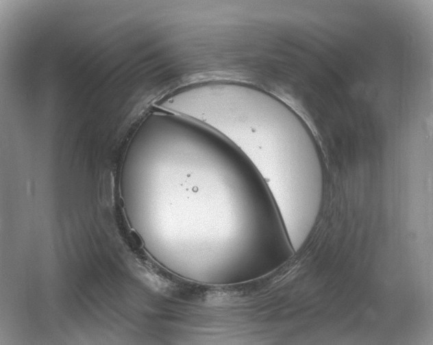 X0000062140109200512091027