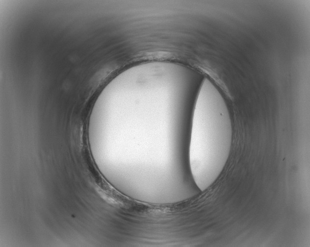 X0000062140110200512091027