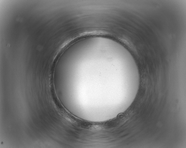 X0000062140111200512091027