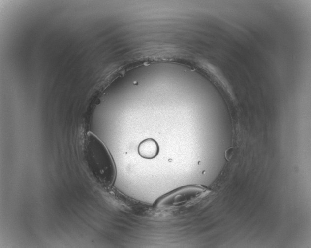 X0000062140113200512091027