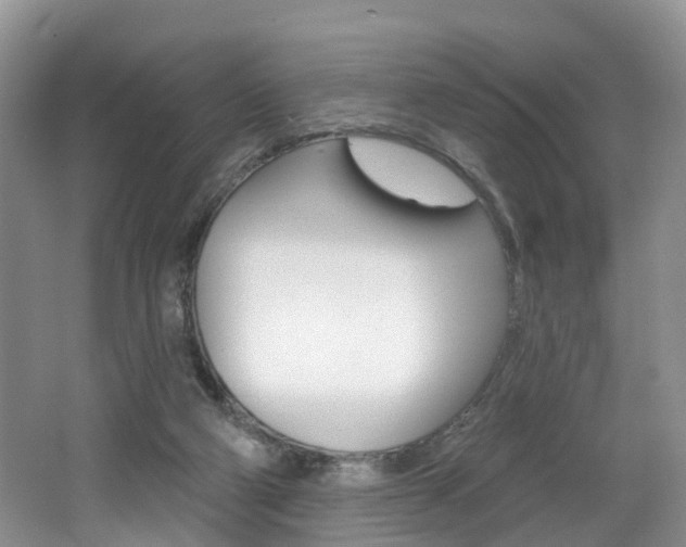 X0000062140114200512091027