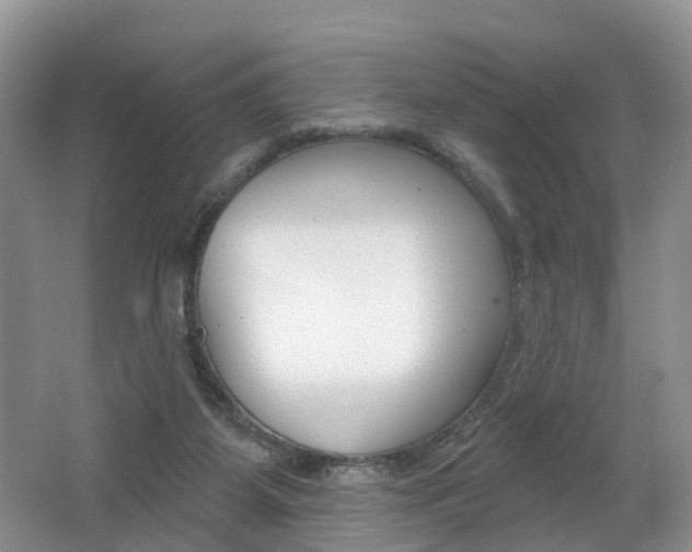 X0000062140115200512091027