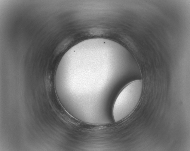 X0000062140116200512091027