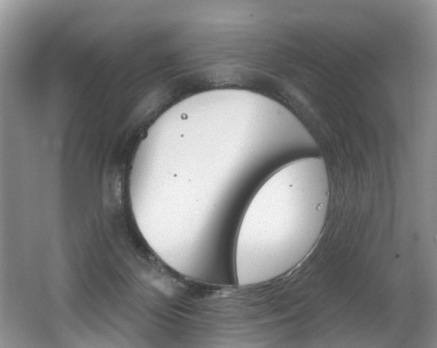 X0000062140124200512091027