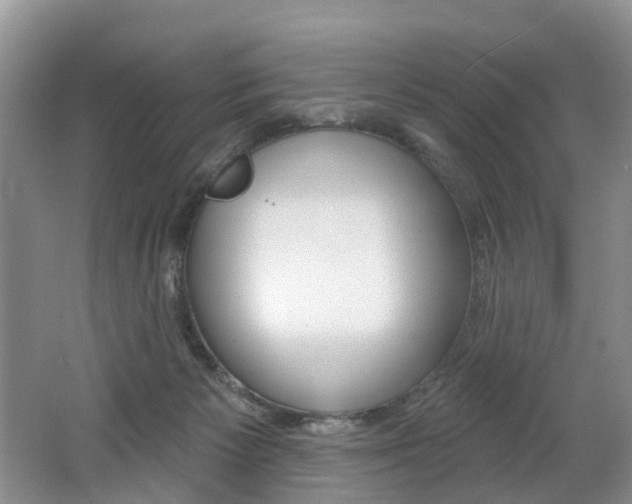 X0000062140125200512091027