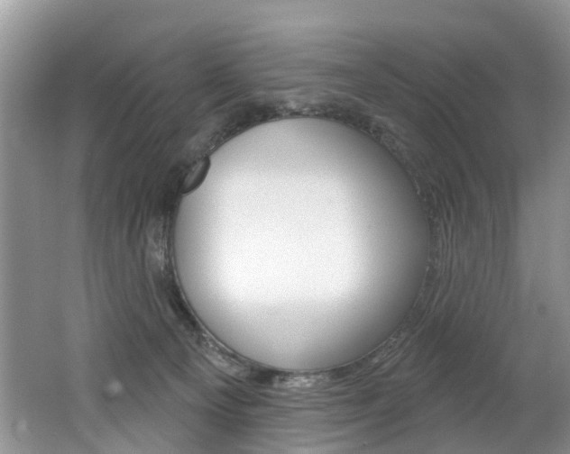 X0000062140129200512091027