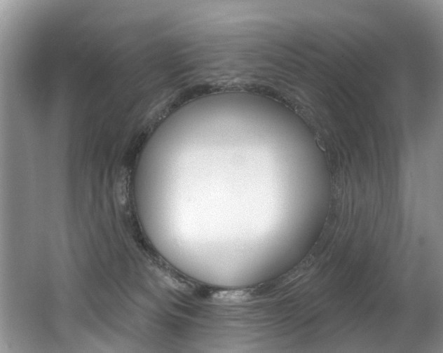 X0000062140133200512091027