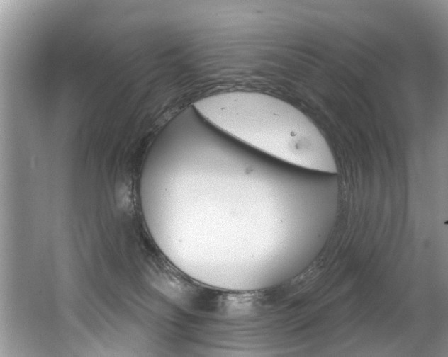 X0000062140134200512091027