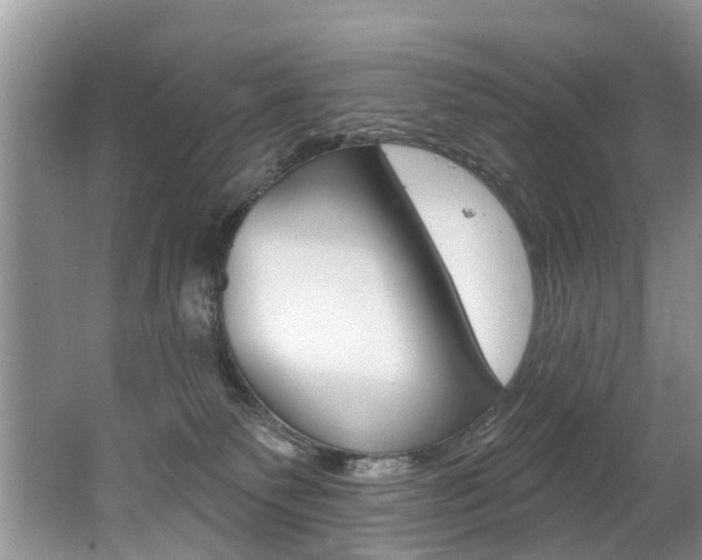 X0000062140135200512091027