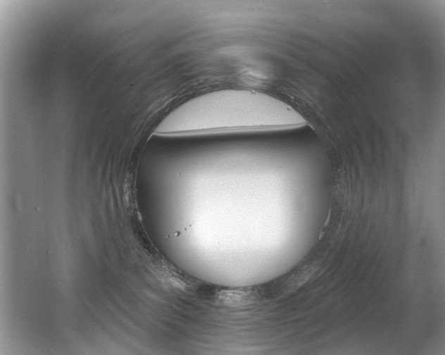 X0000062140139200512091027