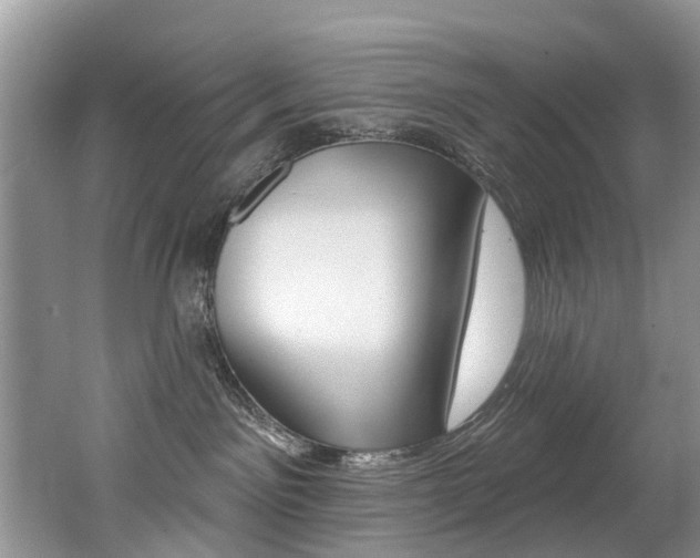 X0000062140141200512091027