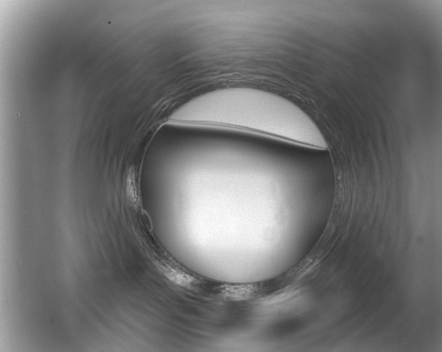 X0000062140143200512091027