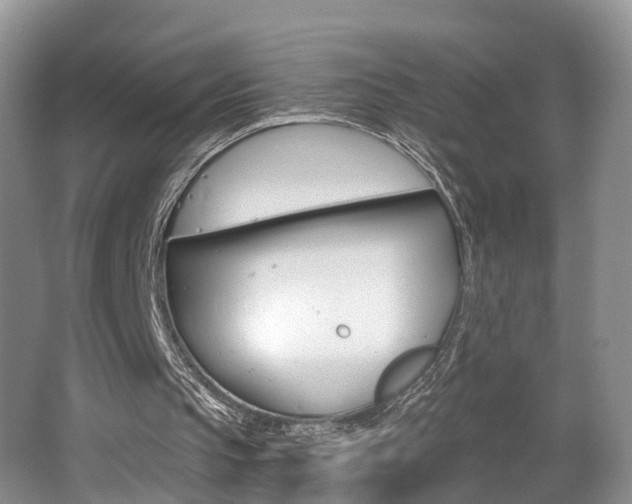 X0000062140145200512091026