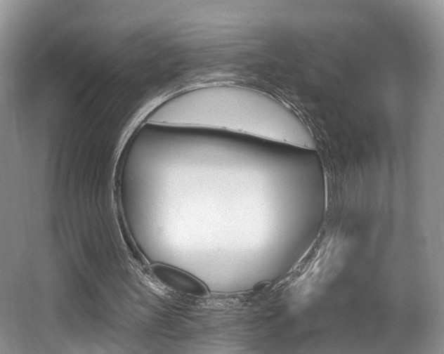 X0000062140147200512091026