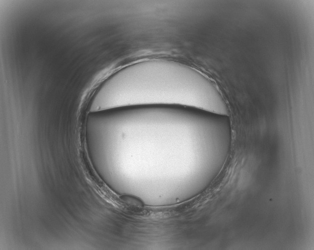 X0000062140149200512091026