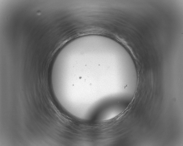 X0000062140154200512091026