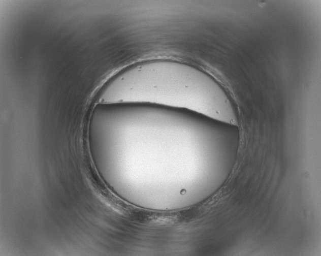 X0000062140155200512091026