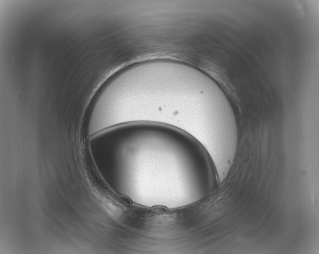 X0000062140156200512091026