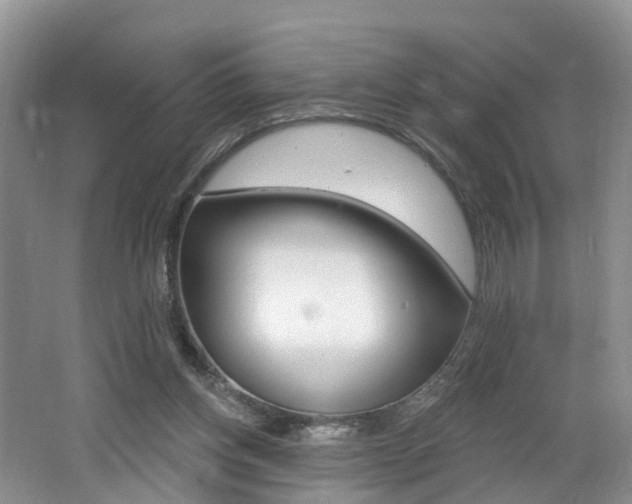 X0000062140158200512091026