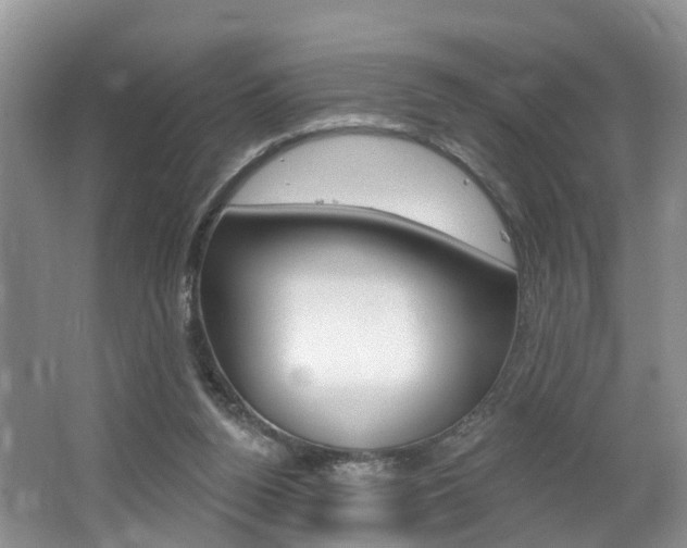 X0000062140160200512091026