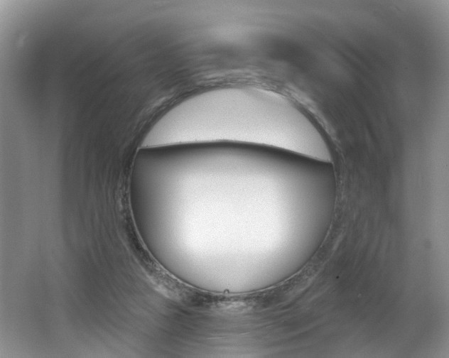 X0000062140161200512091026