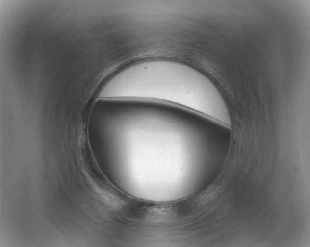 X0000062140164200512091026