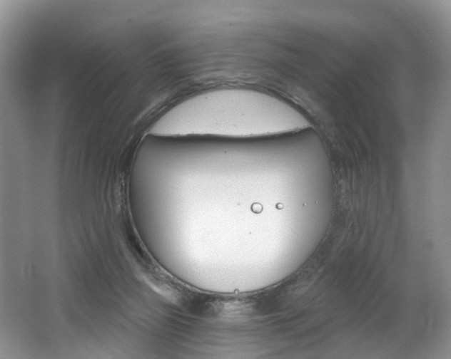 X0000062140165200512091026