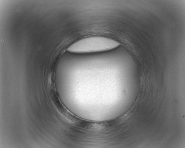 X0000062140166200512091026