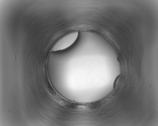 X0000062140167200512091026