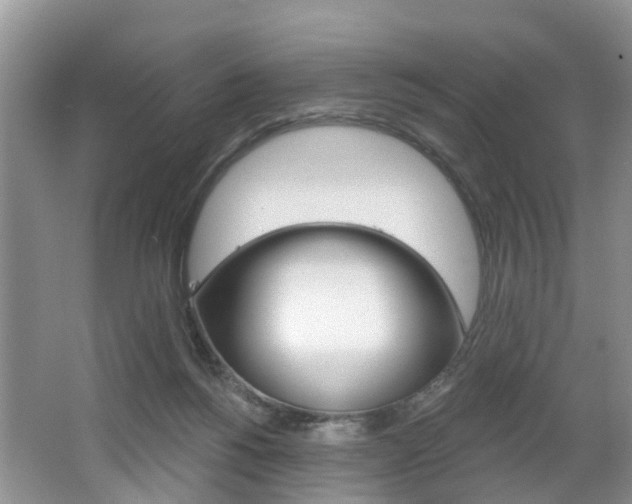 X0000062140168200512091026