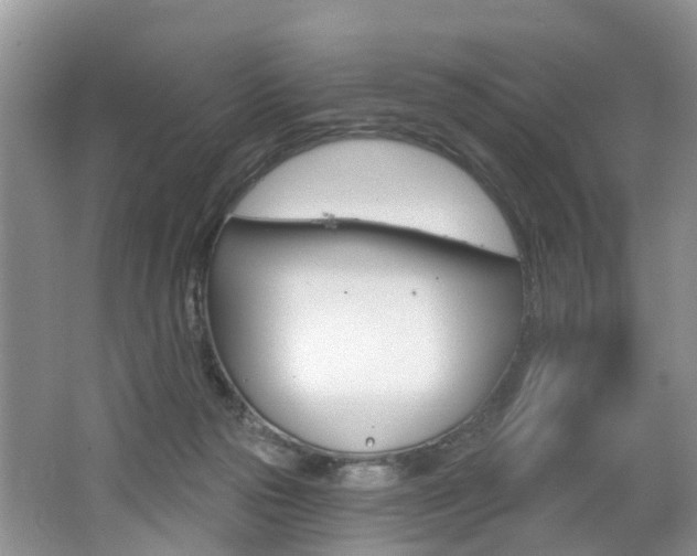 X0000062140169200512091026