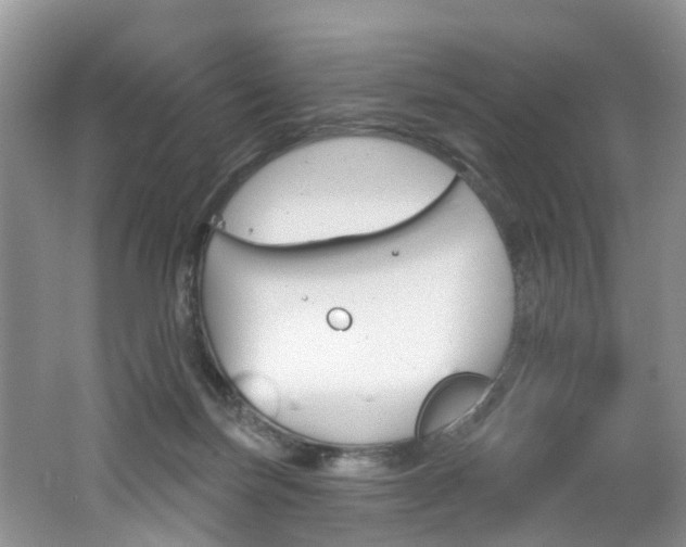 X0000062140171200512091026