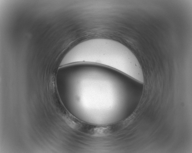 X0000062140172200512091026