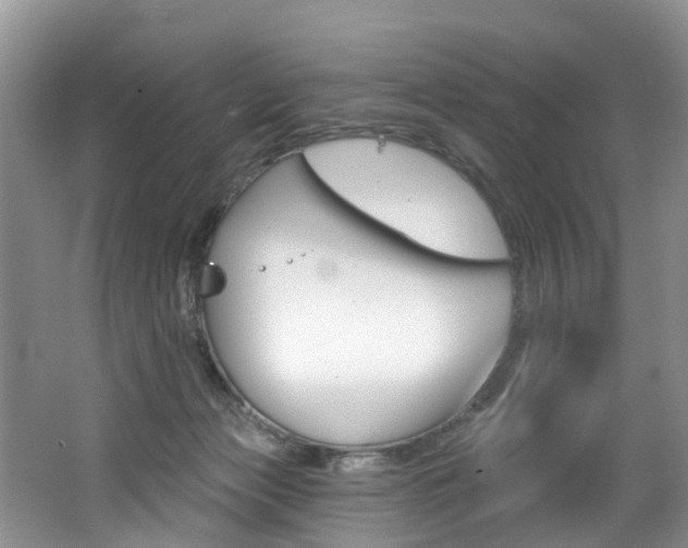 X0000062140173200512091026