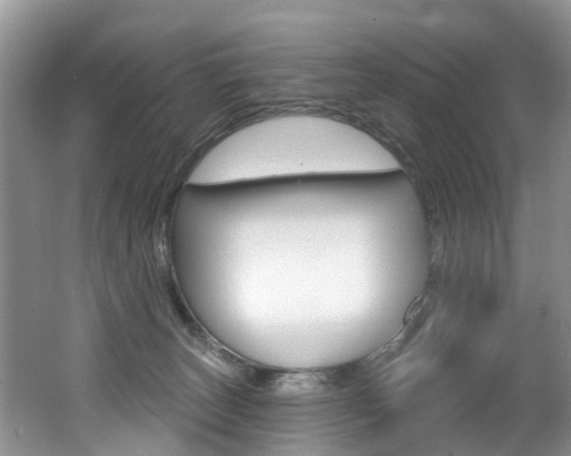 X0000062140179200512091026