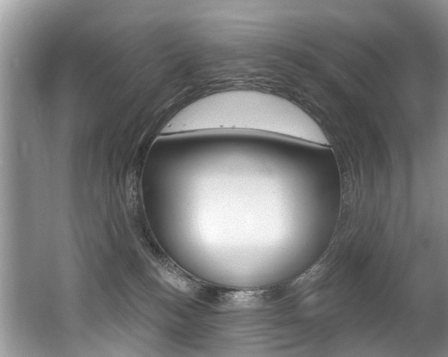 X0000062140184200512091026