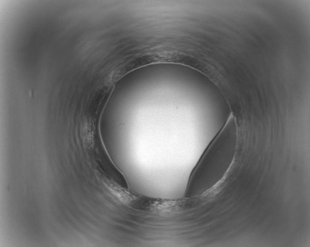 X0000062140186200512091026