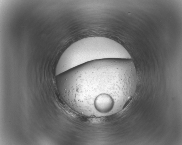 X0000062140187200512091026