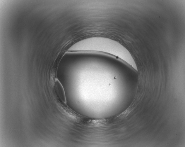 X0000062140188200512091026