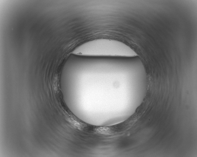 X0000062140189200512091026