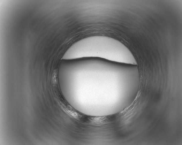 X0000062140191200512091026