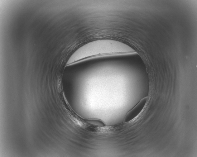 X0000062140192200512091026