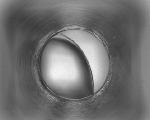 X0000062140193200512091026