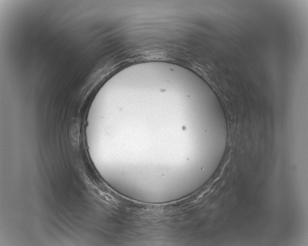 X0000062140194200512091026