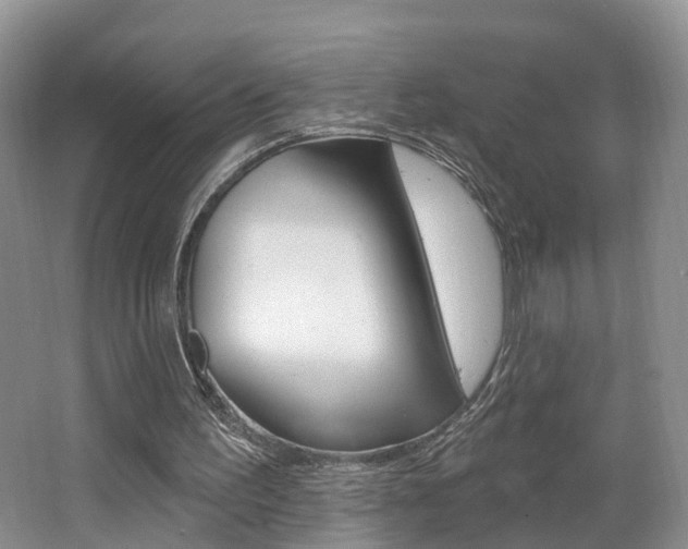 X0000062140195200512091026