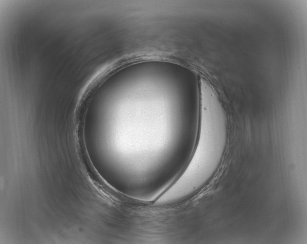 X0000062140197200512091026