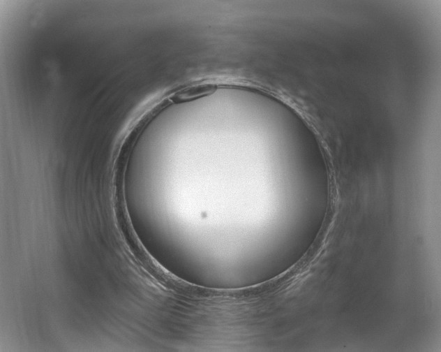 X0000062140199200512091026