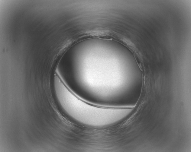 X0000062140201200512091026